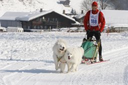 Lenk 2012 SM